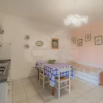 Lentisco - Goelba