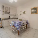 Lentisco - Goelba *