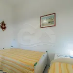 Lentisco - Goelba * Capoliveri (Isola d'Elba)